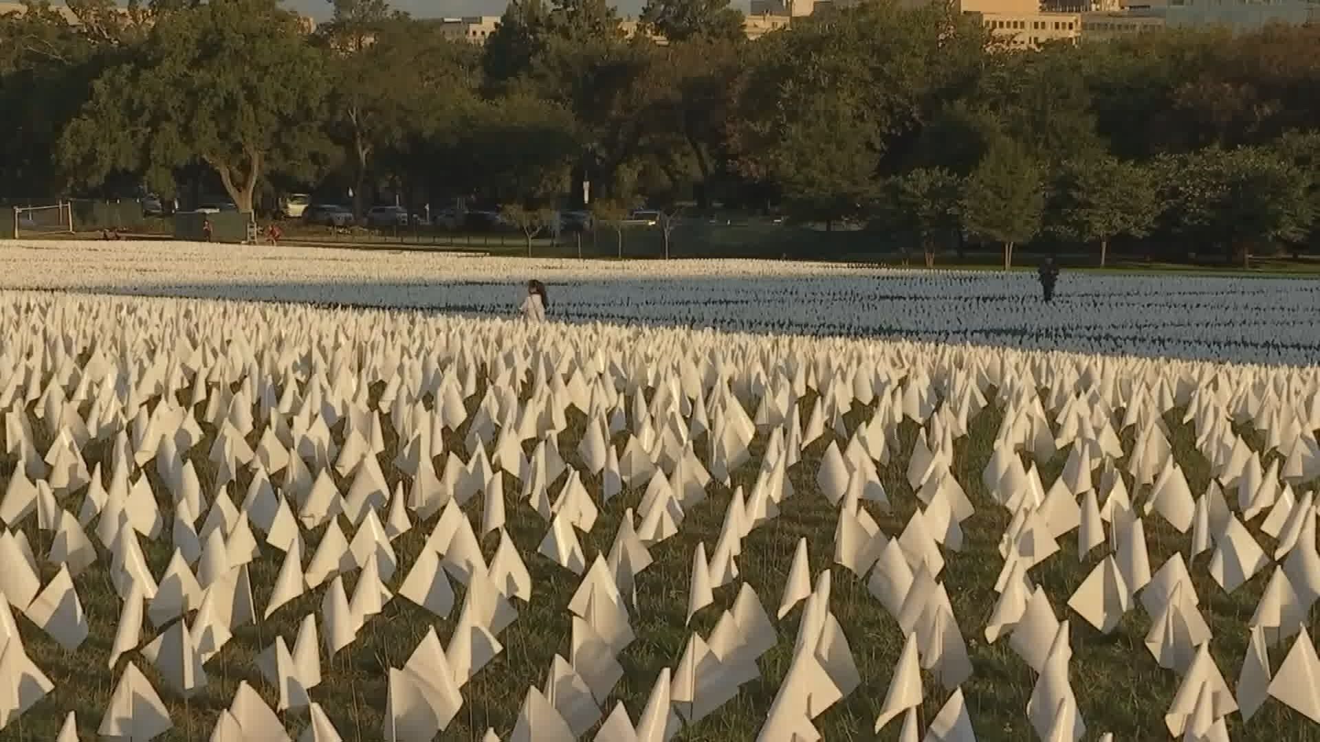 WHITE FLAGS1.jpg
